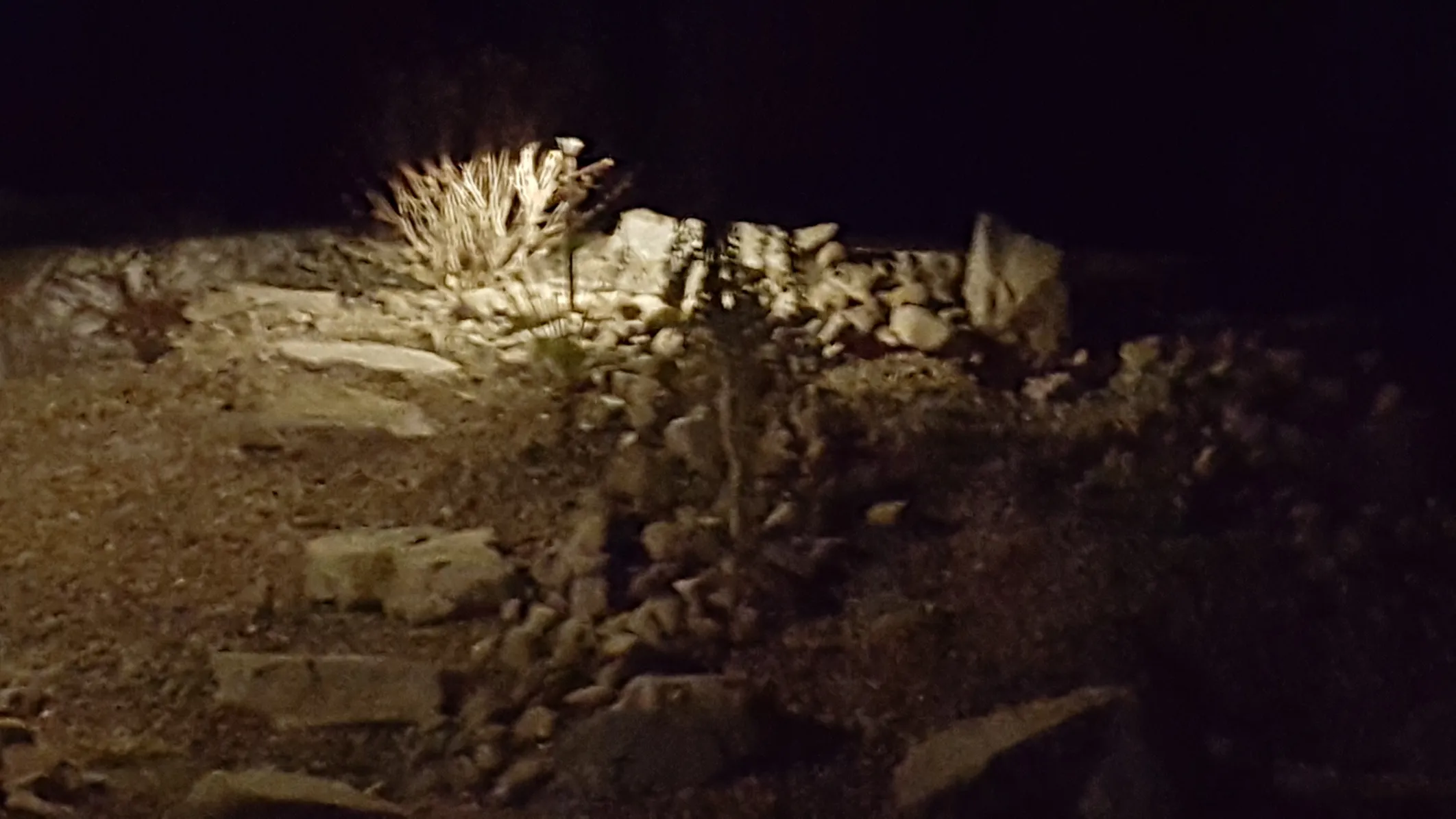 Landscape lighting in Osoyoos and Oliver BC