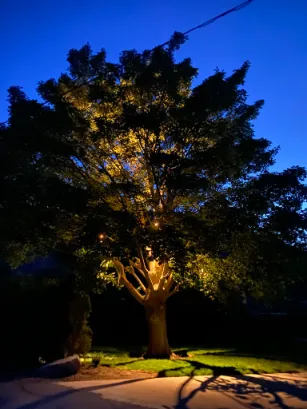 Landscape lighting in Osoyoos and Oliver BC