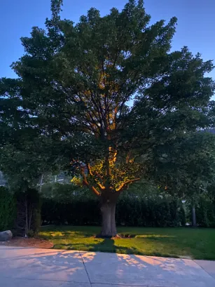 Landscape lighting in Osoyoos and Oliver BC