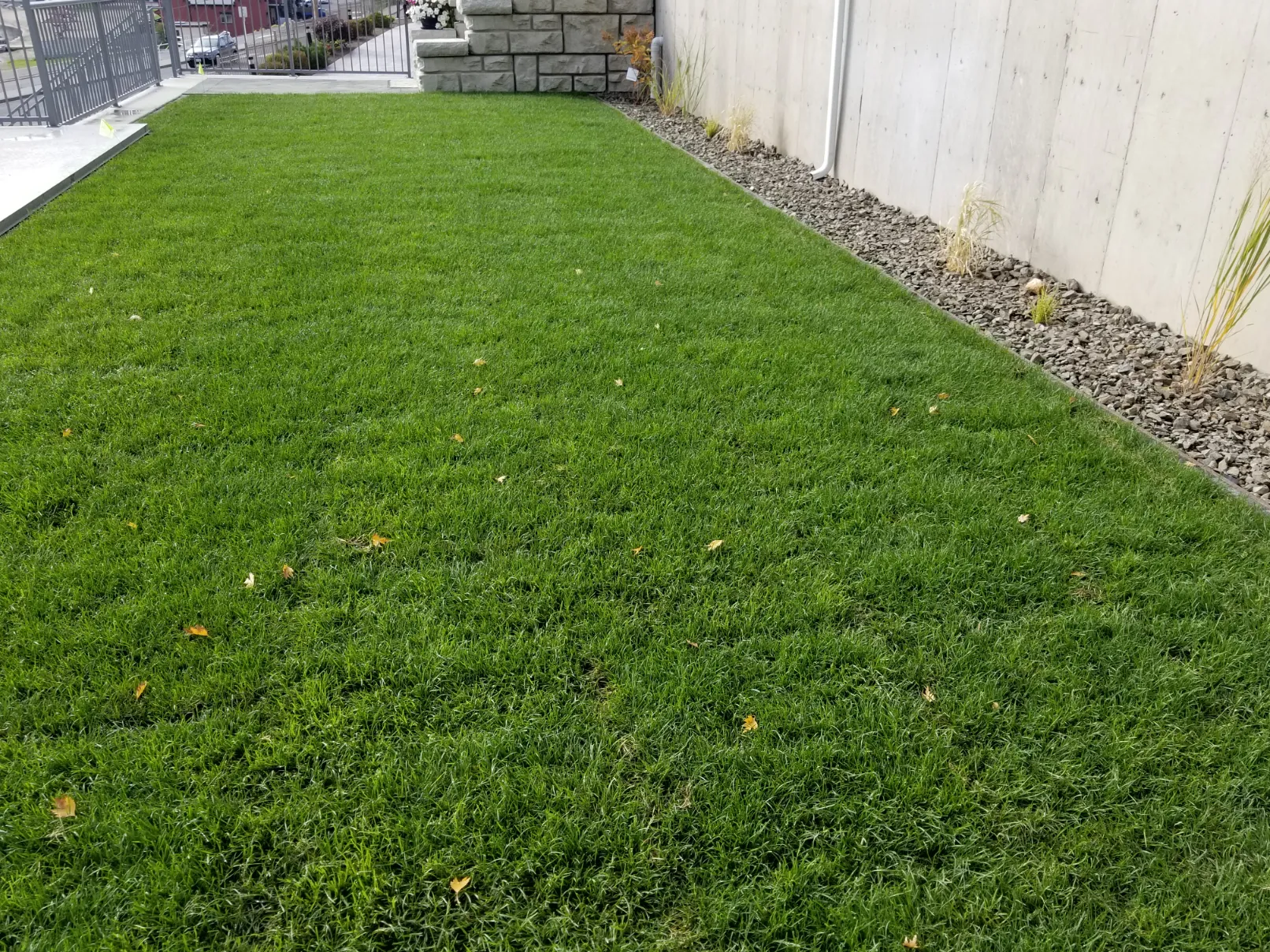 Sod installation in Osoyoos and Oliver BC