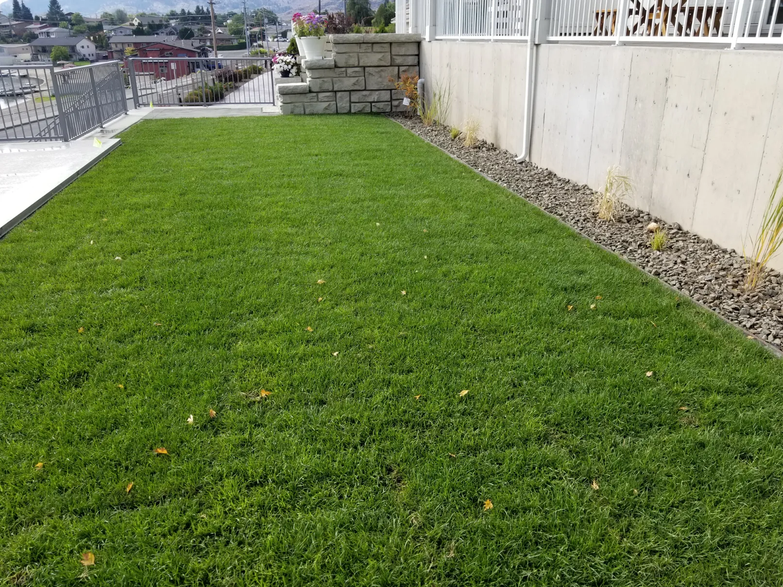 Sod installation in Osoyoos and Oliver BC