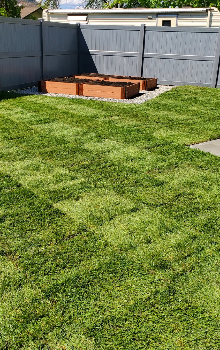 Sod installation in Osoyoos and Oliver BC
