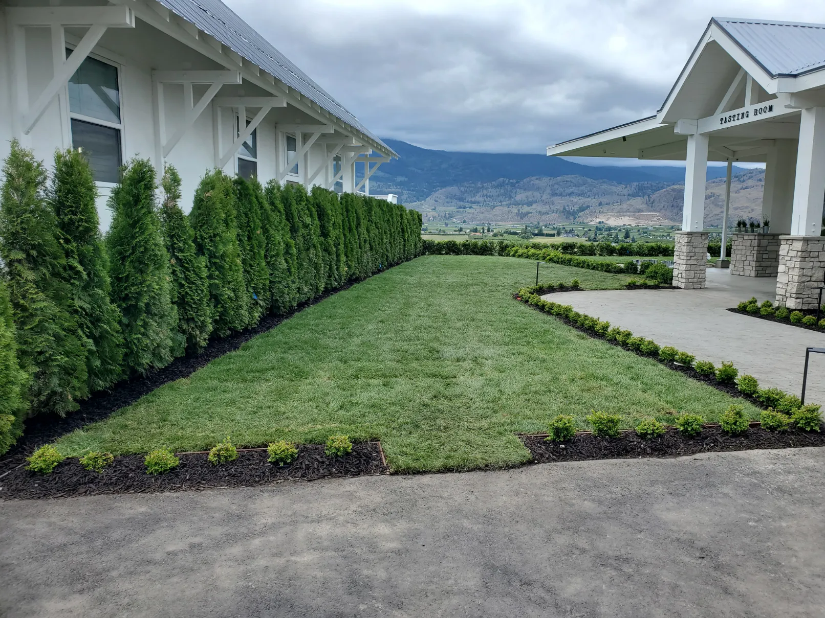 Premium grass sod installation with proper ground preparation and leveling in Osoyoos
