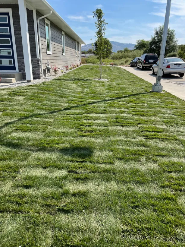 Sod installation in Osoyoos and Oliver BC