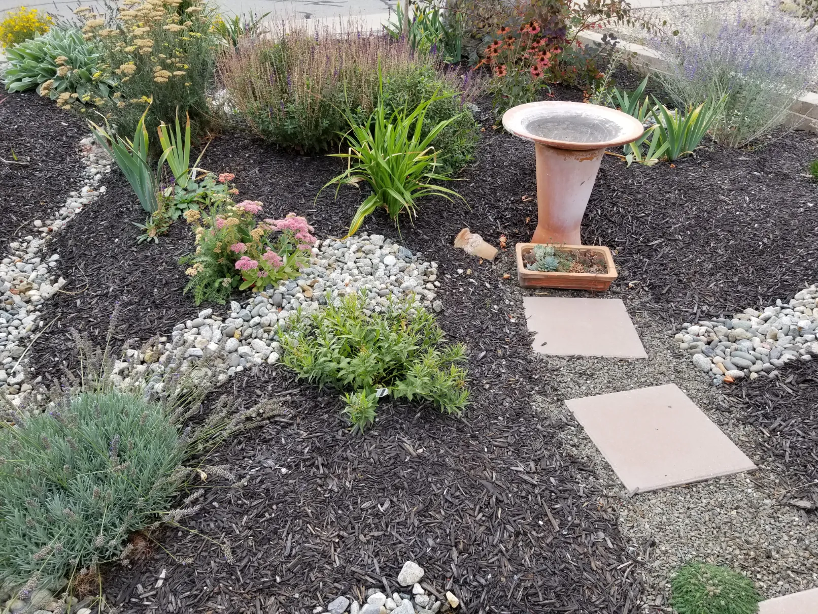 Xeriscape planting in Osoyoos and Oliver BC