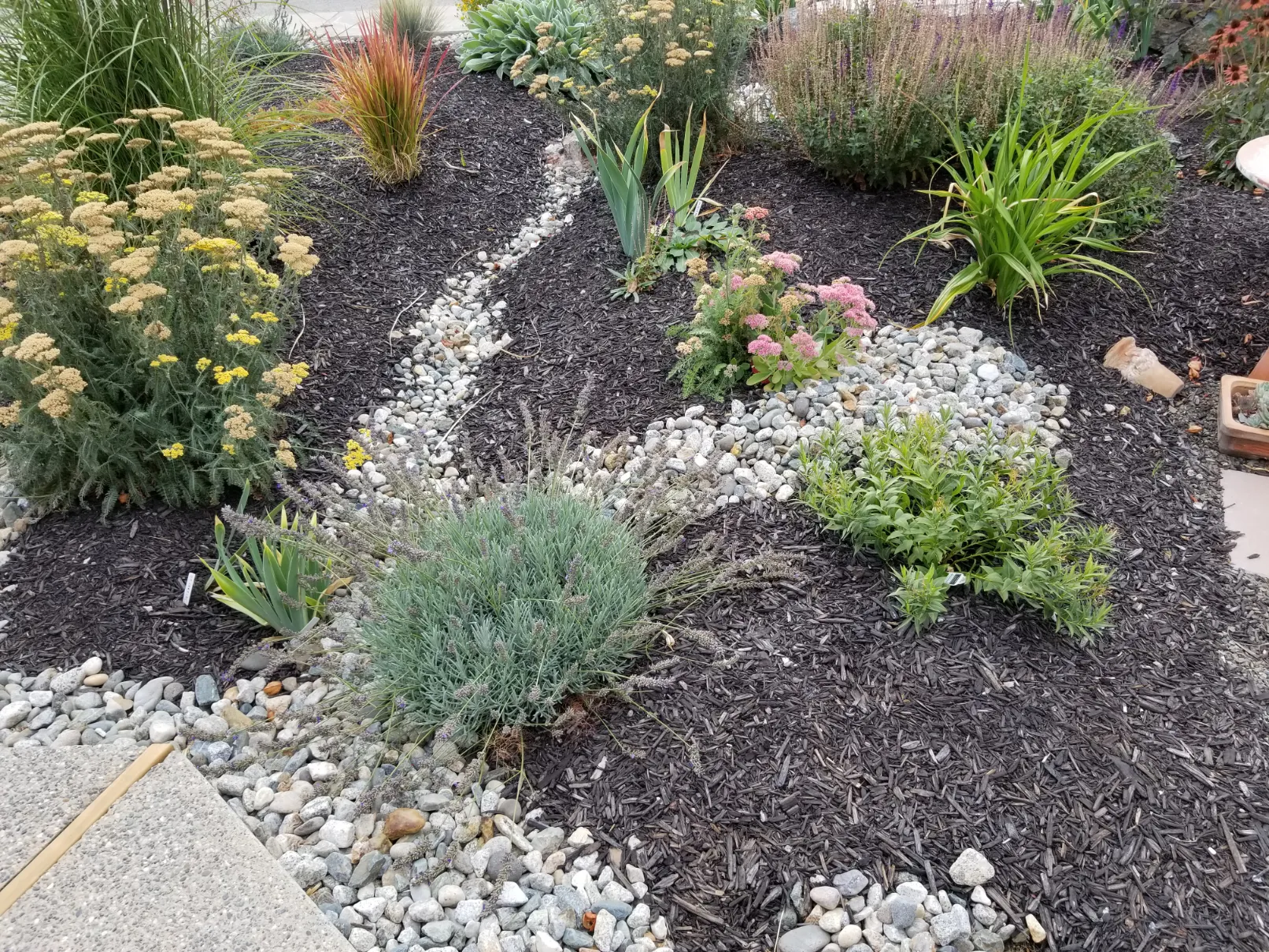 Xeriscape planting in Osoyoos and Oliver BC