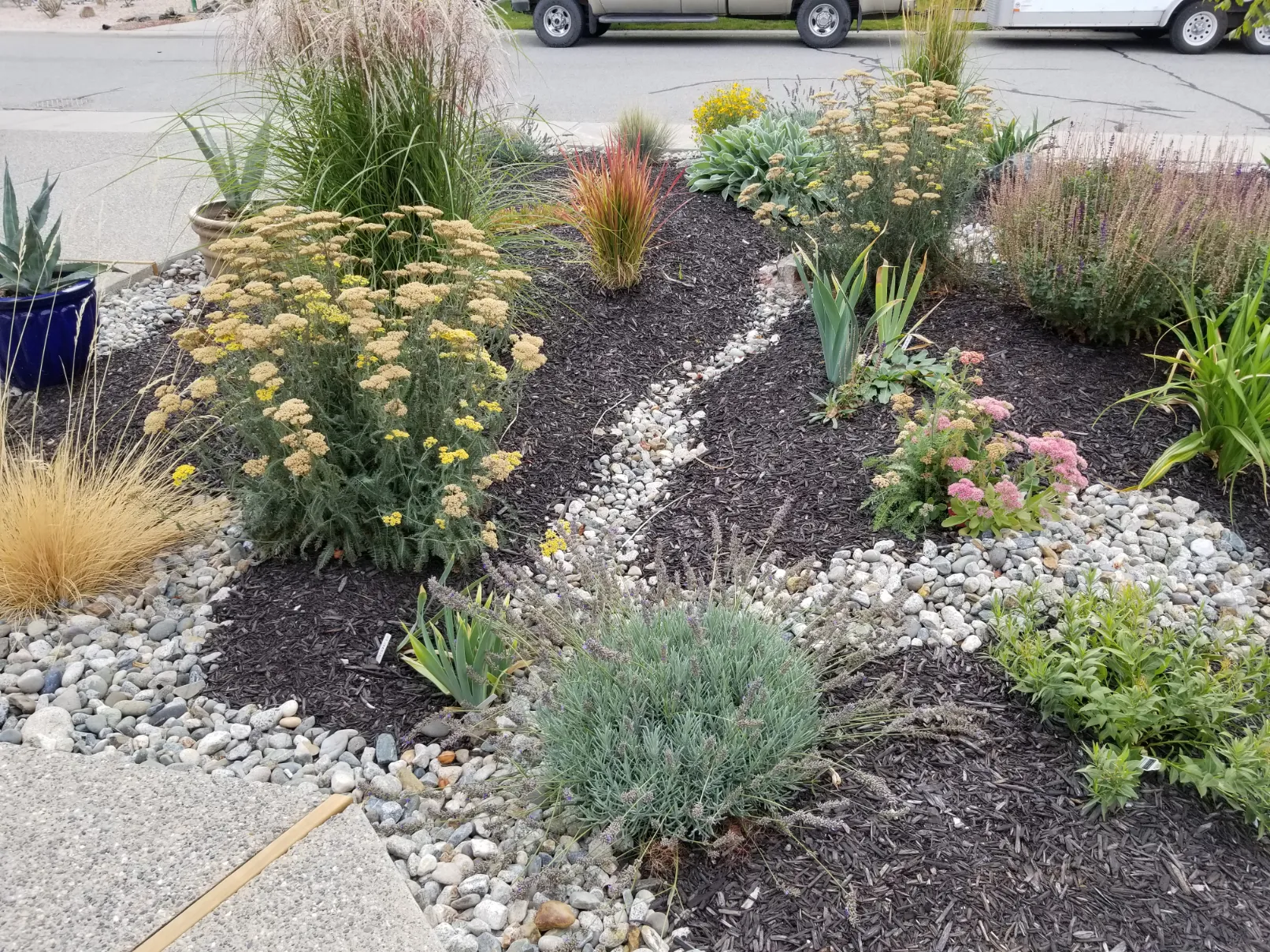 Xeriscape planting in Osoyoos and Oliver BC