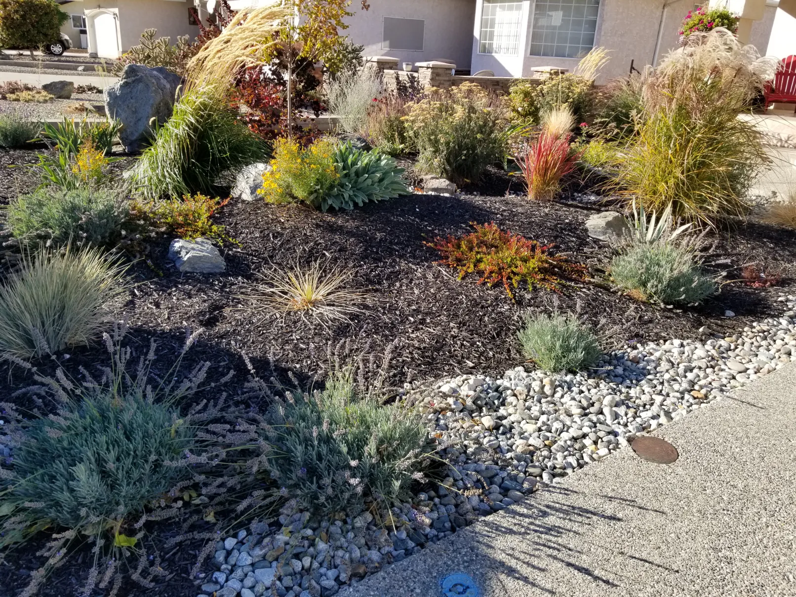 Garden transformation in Oliver BC