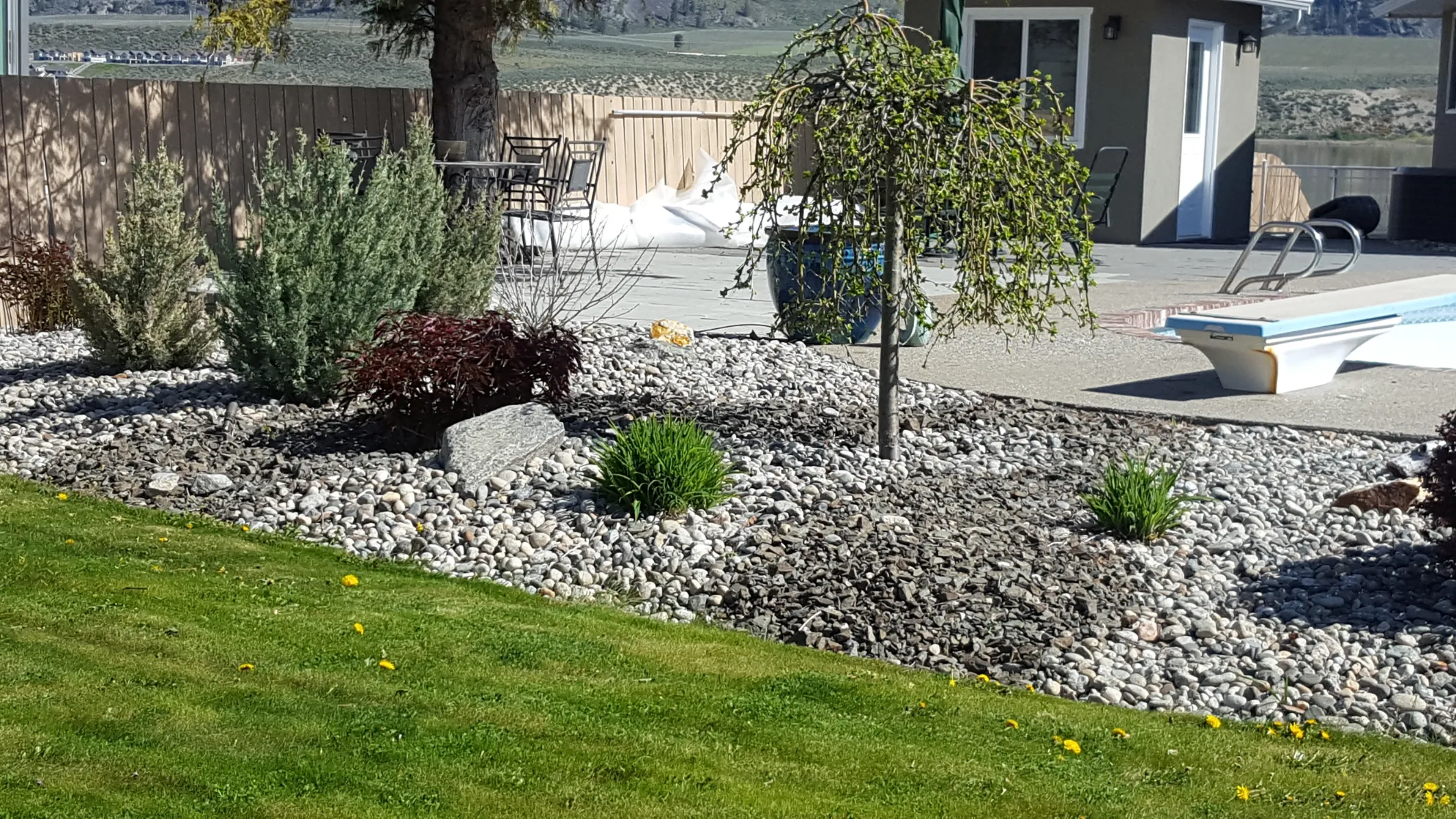 Xeriscape planting in Osoyoos and Oliver BC