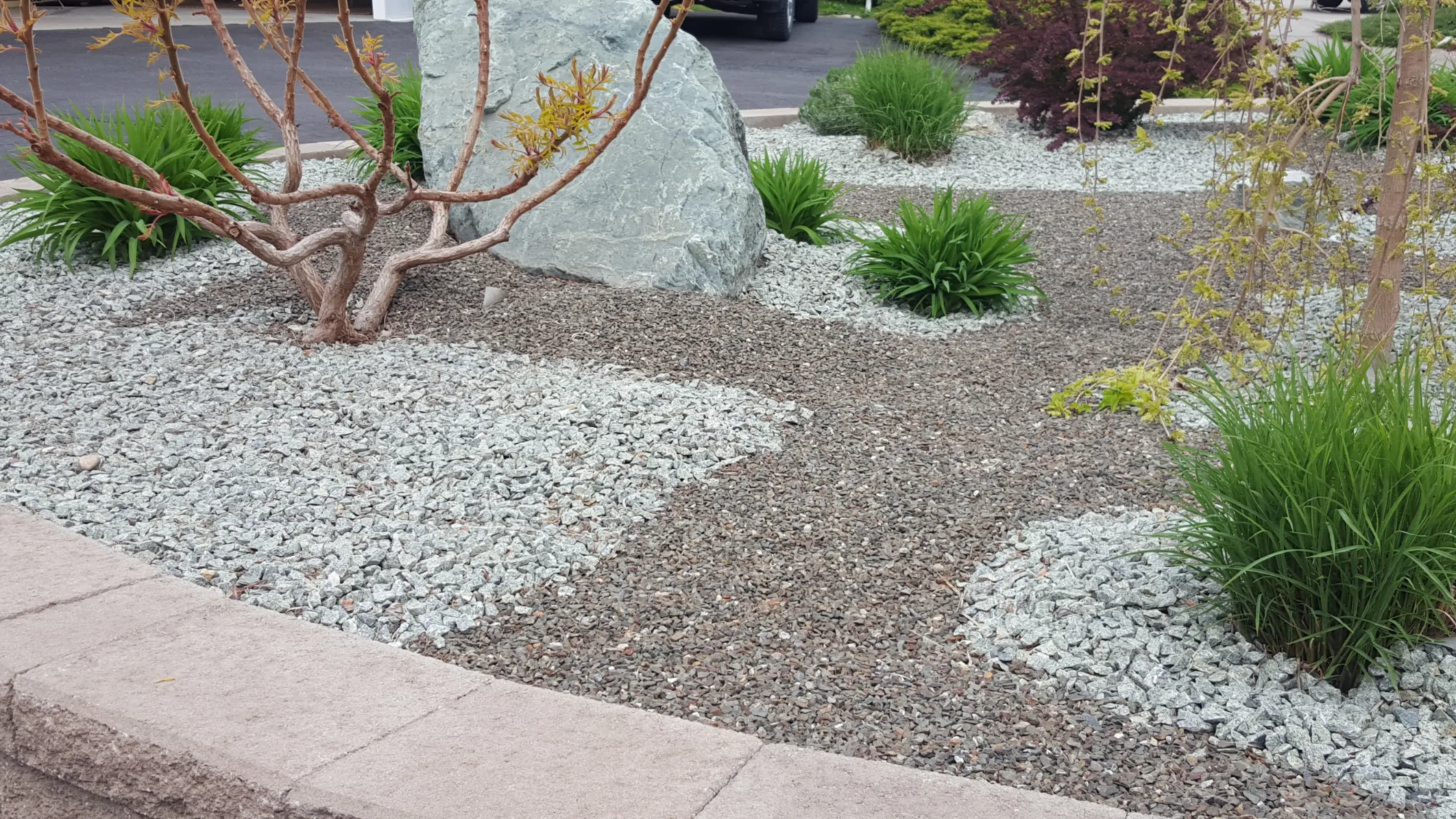 Xeriscape planting in Osoyoos and Oliver BC