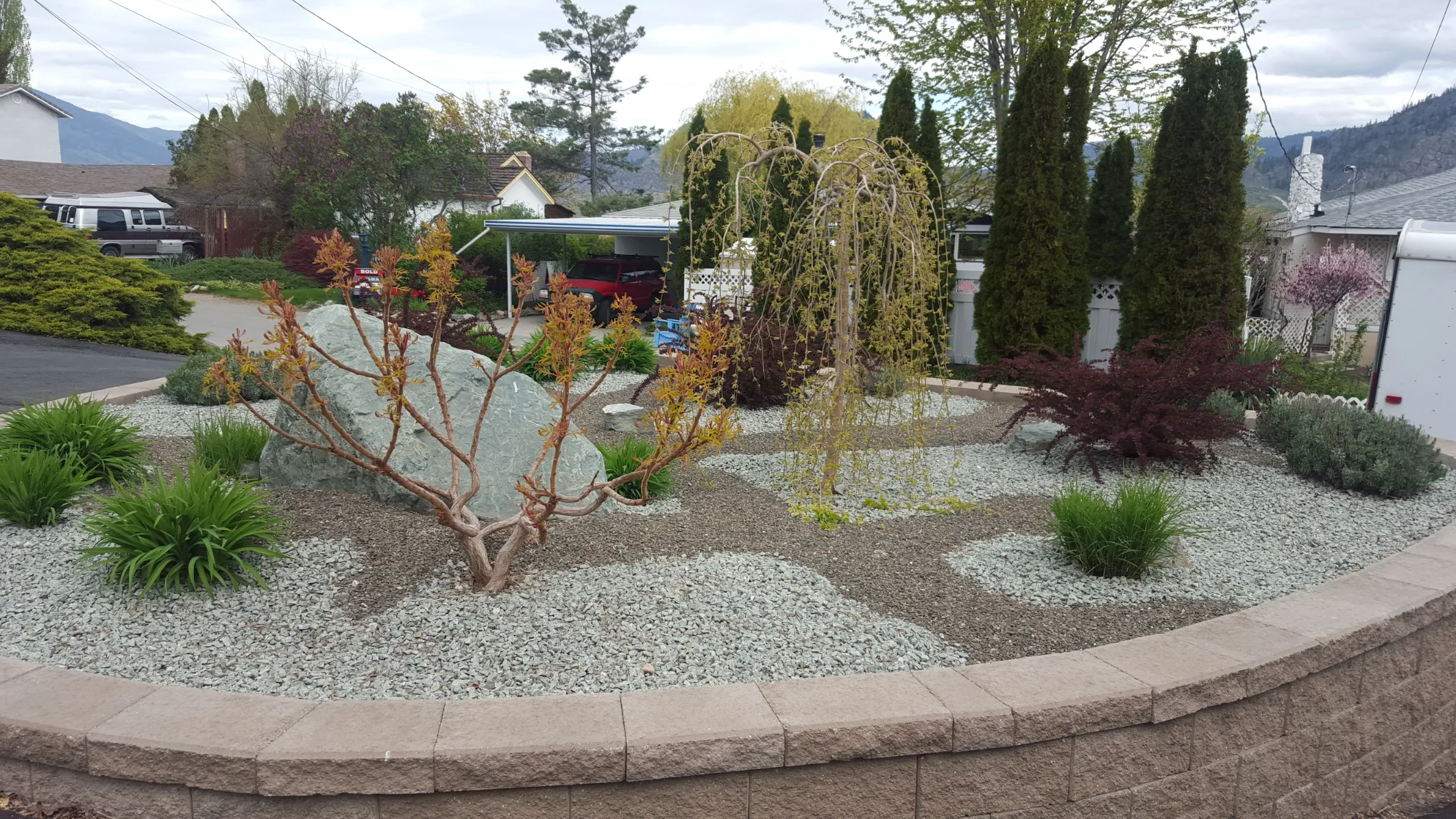 Xeriscape planting in Osoyoos and Oliver BC