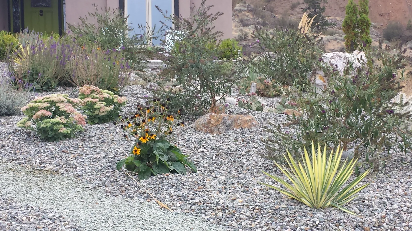 Xeriscape planting in Osoyoos and Oliver BC