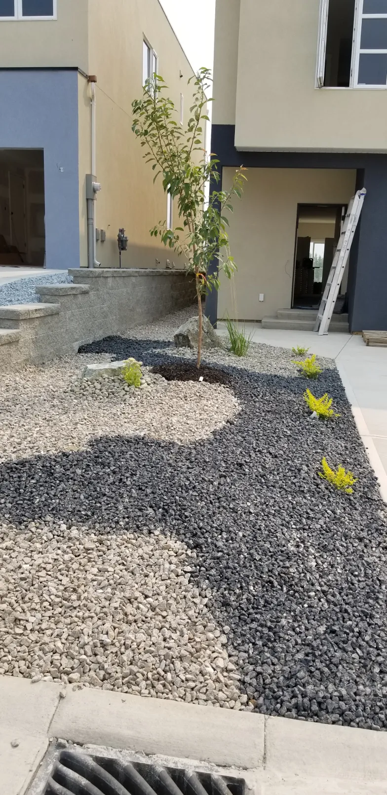 Low-maintenance rock garden with native perennials and decorative boulders in South Okanagan