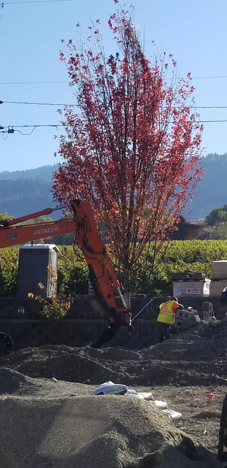 Xeriscape planting in Osoyoos and Oliver BC