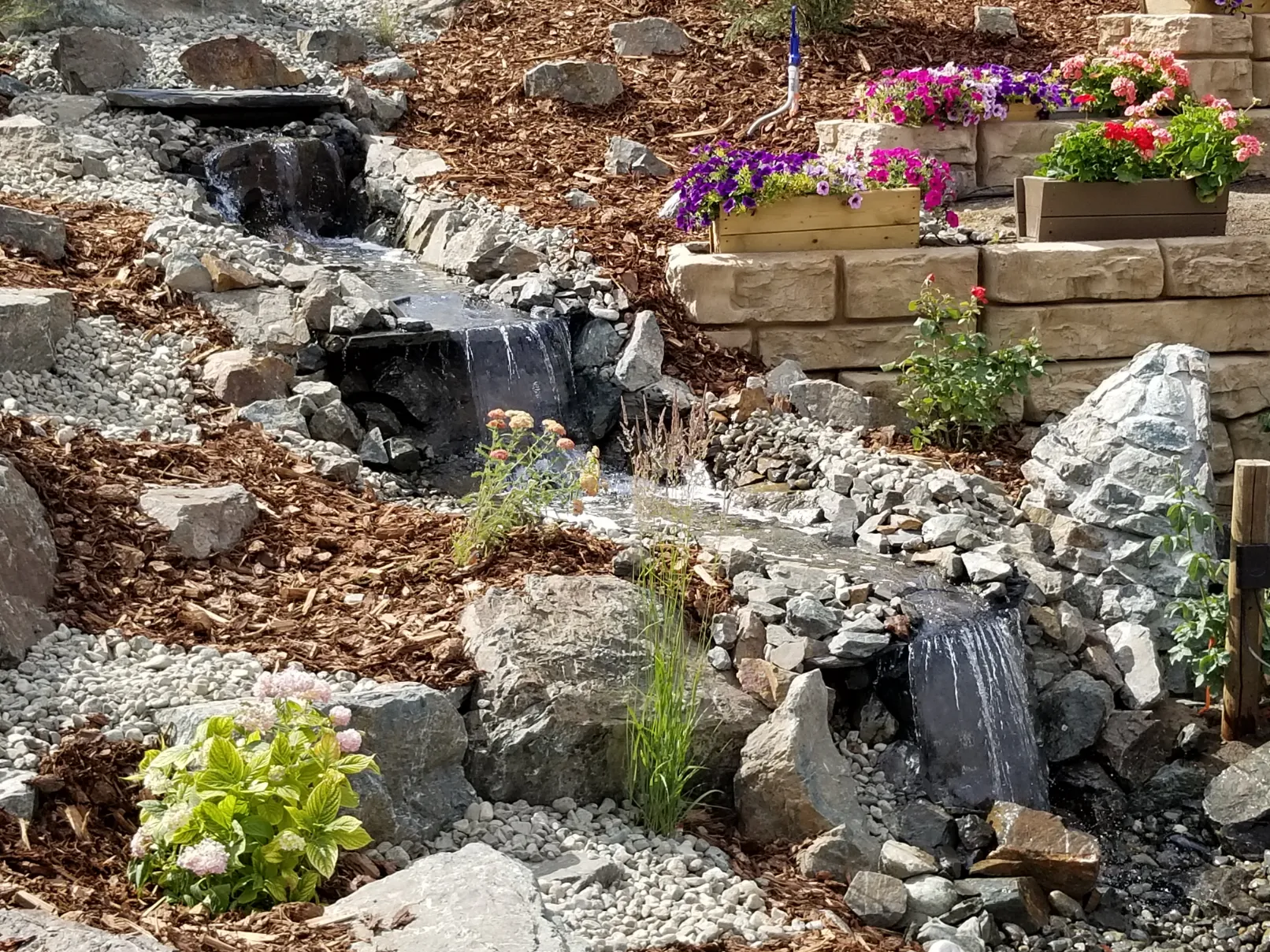 Xeriscape planting in Osoyoos and Oliver BC