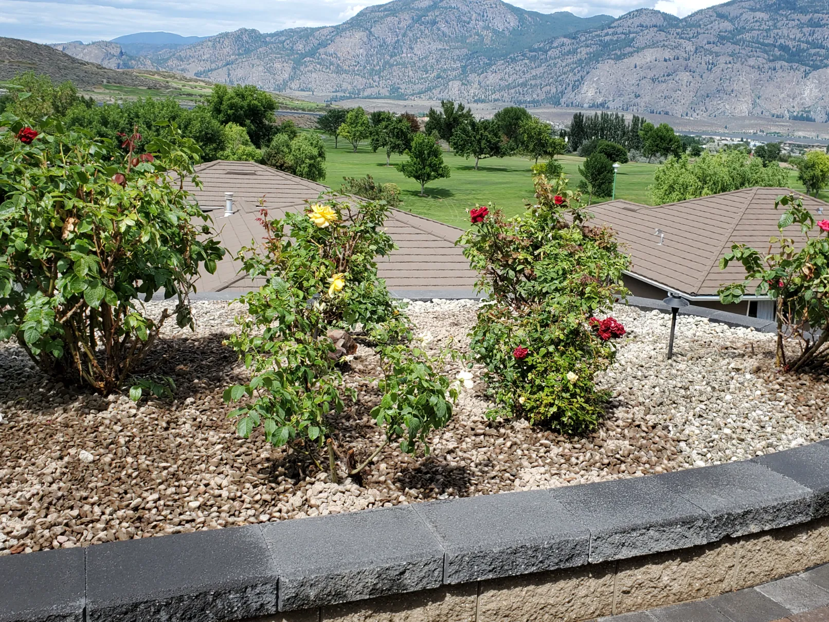 Xeriscape planting in Osoyoos and Oliver BC