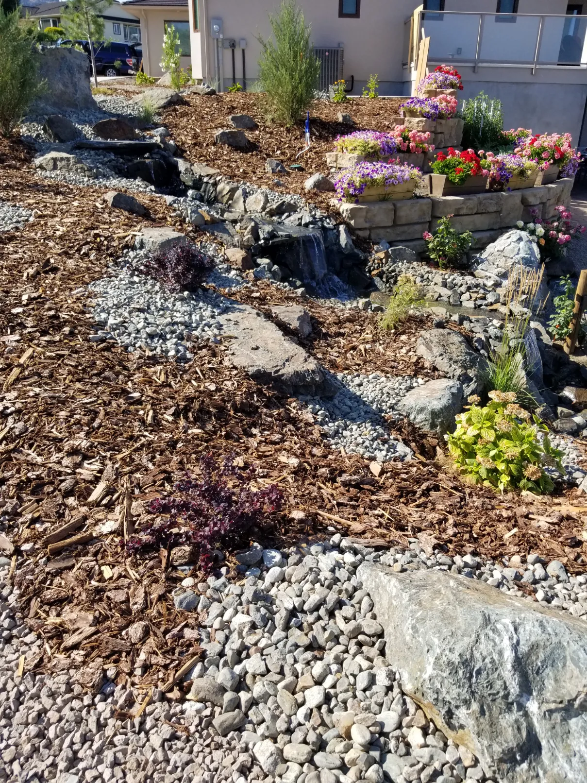 Xeriscape planting in Osoyoos and Oliver BC