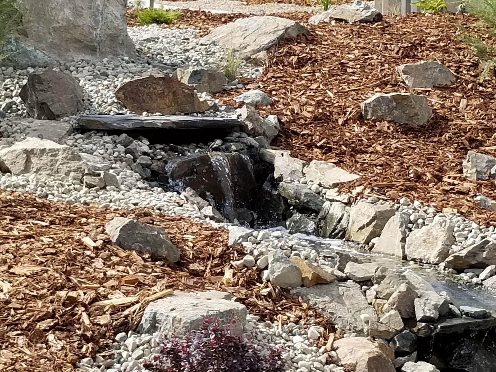 Xeriscape planting in Osoyoos and Oliver BC