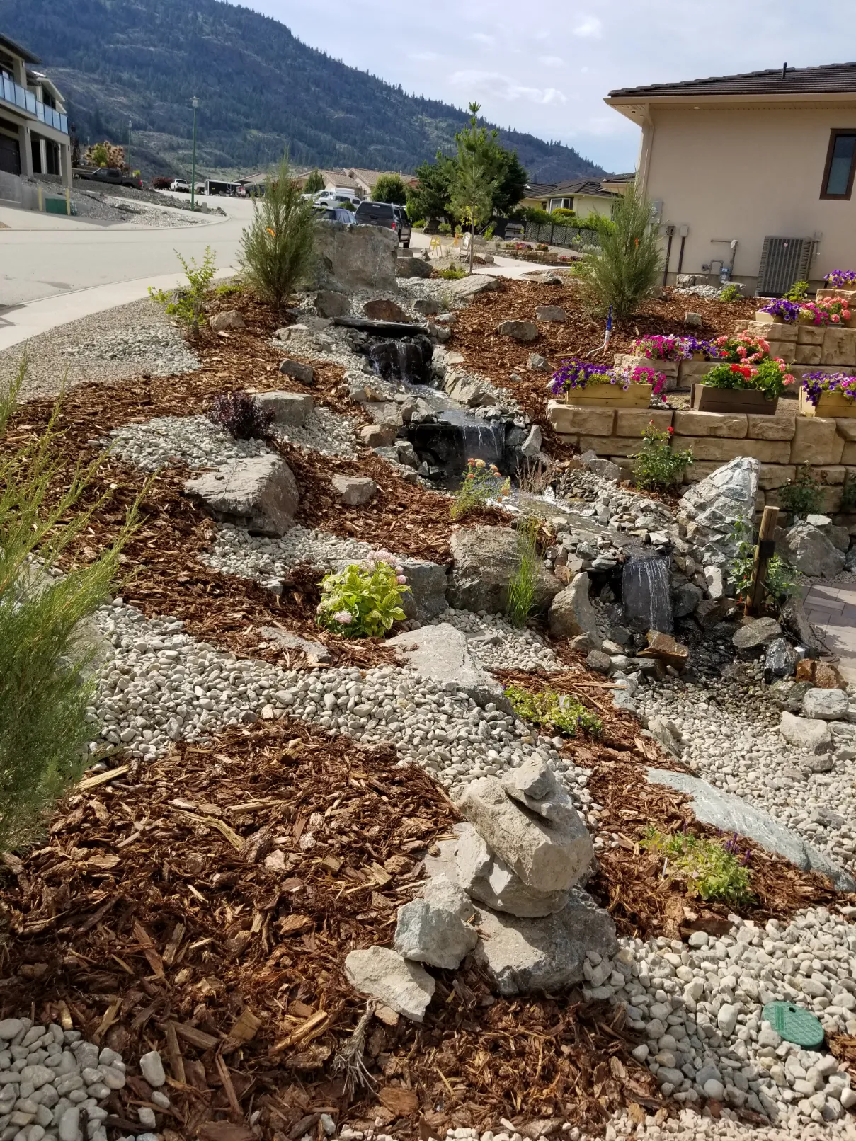 Xeriscape planting in Osoyoos and Oliver BC
