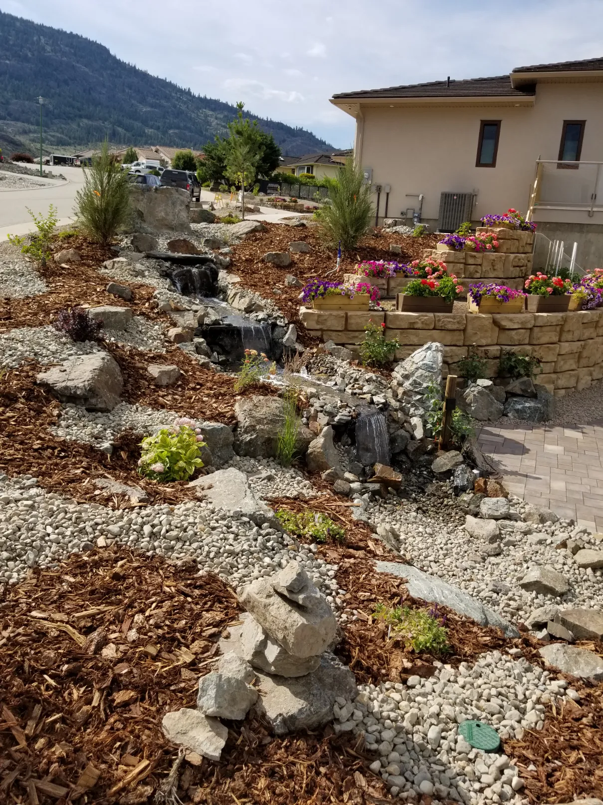 Xeriscape planting in Osoyoos and Oliver BC
