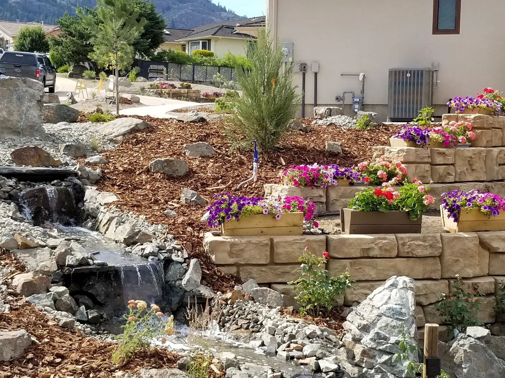 Xeriscape planting in Osoyoos and Oliver BC