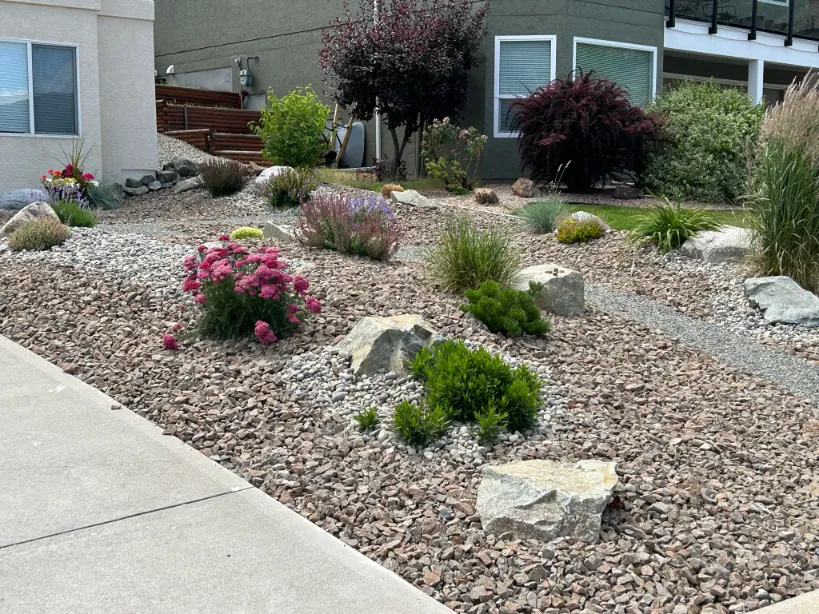 Xeriscape planting in Osoyoos and Oliver BC