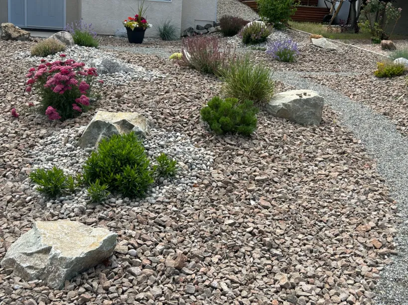 Xeriscape planting in Osoyoos and Oliver BC