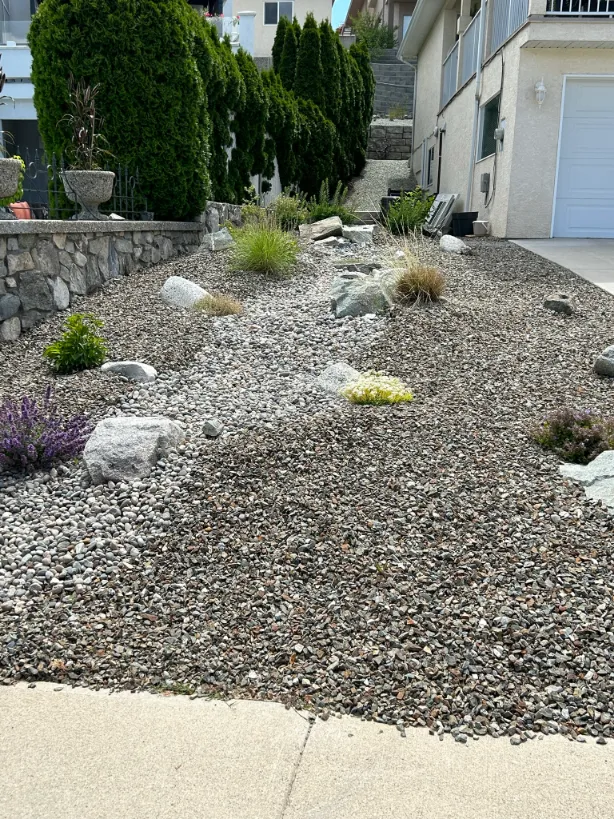 Xeriscape planting in Osoyoos and Oliver BC
