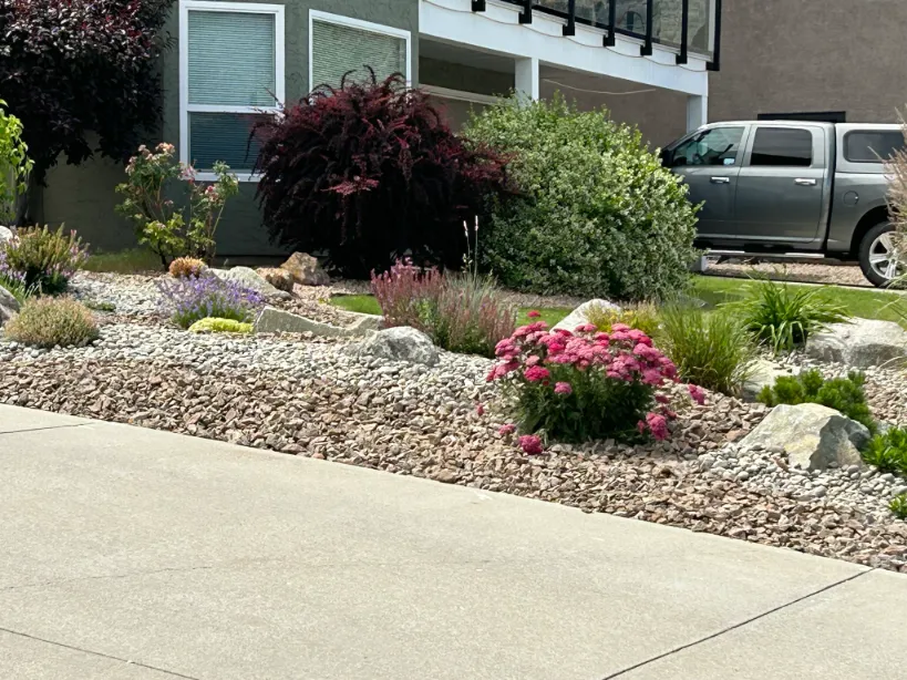 Xeriscape planting in Osoyoos and Oliver BC