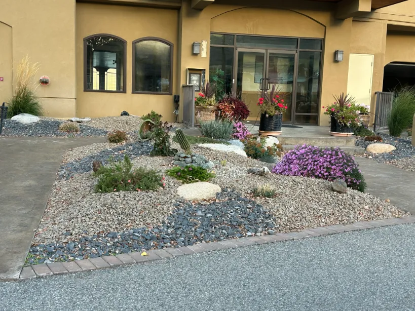 Xeriscape planting in Osoyoos and Oliver BC