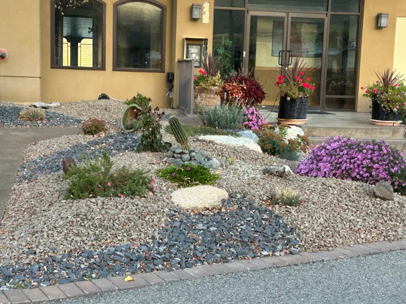 Xeriscape planting in Osoyoos and Oliver BC