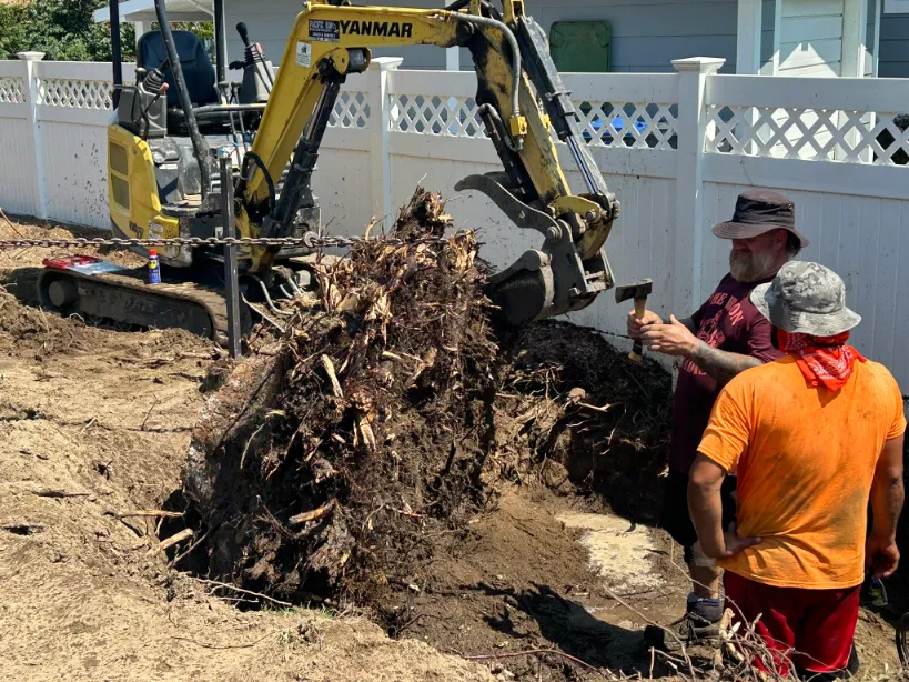 Xeriscape planting in Osoyoos and Oliver BC