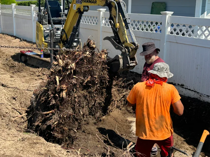 Xeriscape planting in Osoyoos and Oliver BC