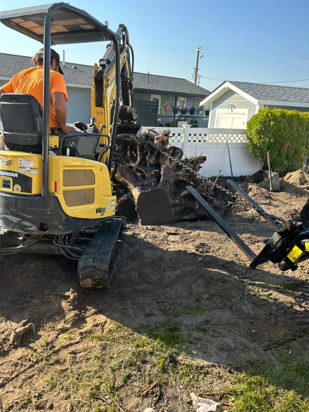 Xeriscape planting in Osoyoos and Oliver BC