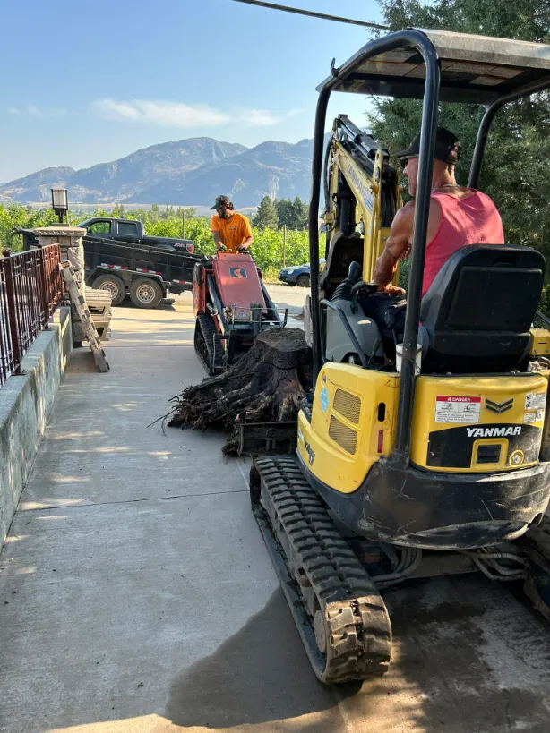 Xeriscape planting in Osoyoos and Oliver BC
