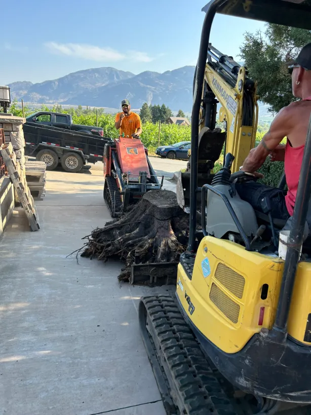 Xeriscape planting in Osoyoos and Oliver BC