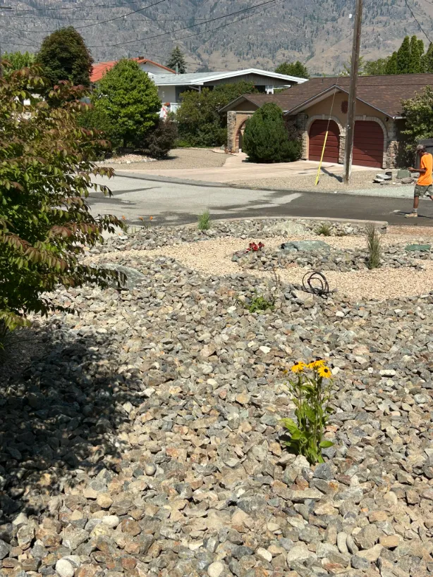 Xeriscape planting in Osoyoos and Oliver BC