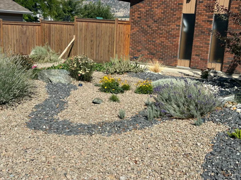 Xeriscape planting in Osoyoos and Oliver BC