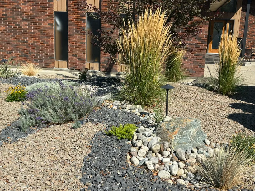 Xeriscape planting in Osoyoos and Oliver BC
