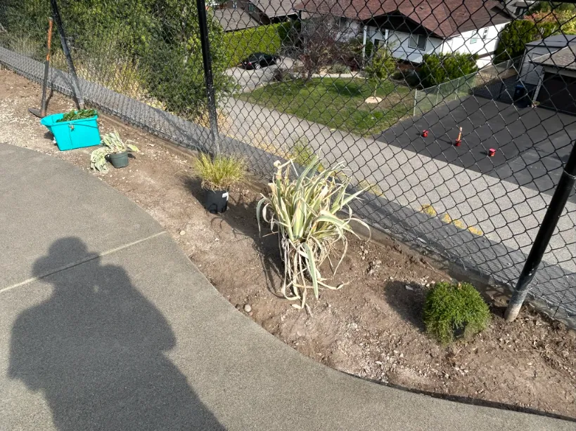 Xeriscape planting in Osoyoos and Oliver BC