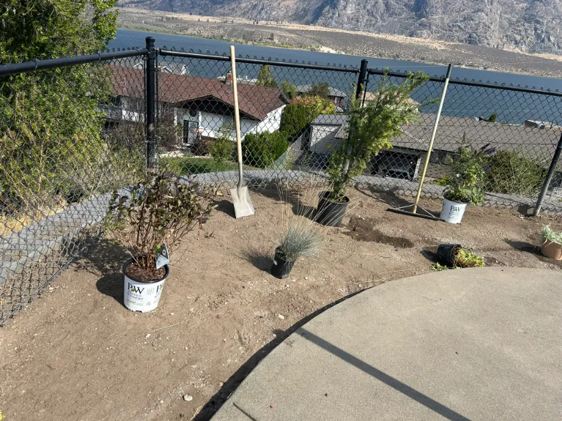 Xeriscape planting in Osoyoos and Oliver BC