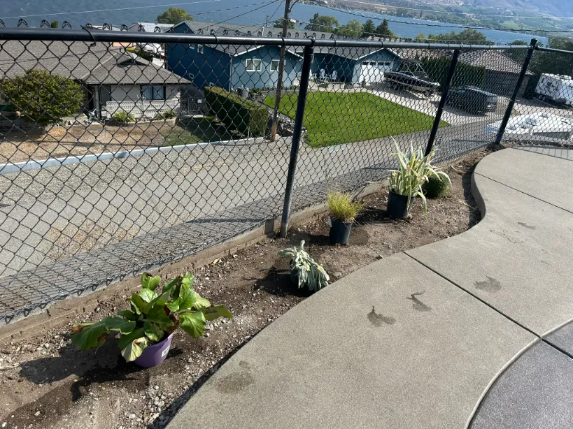 Xeriscape planting in Osoyoos and Oliver BC