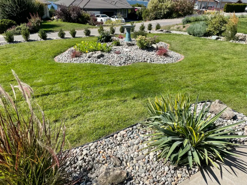 Xeriscape planting in Osoyoos and Oliver BC