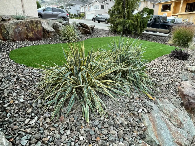 Xeriscape planting in Osoyoos and Oliver BC
