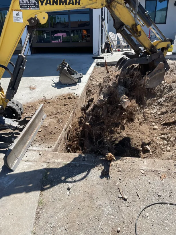 Xeriscape planting in Osoyoos and Oliver BC