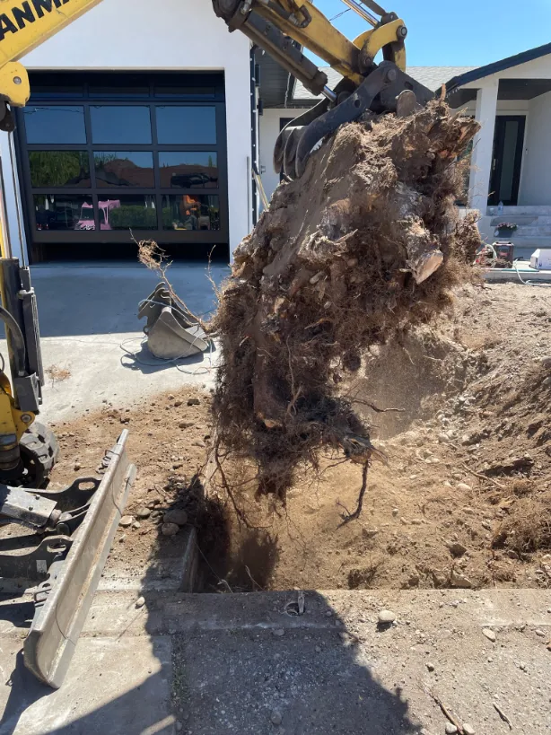 Xeriscape planting in Osoyoos and Oliver BC